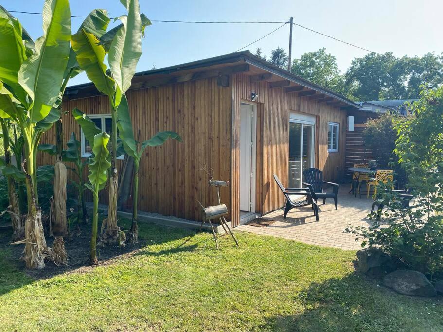 Gite Vogelau Schiltigheim Buitenkant foto
